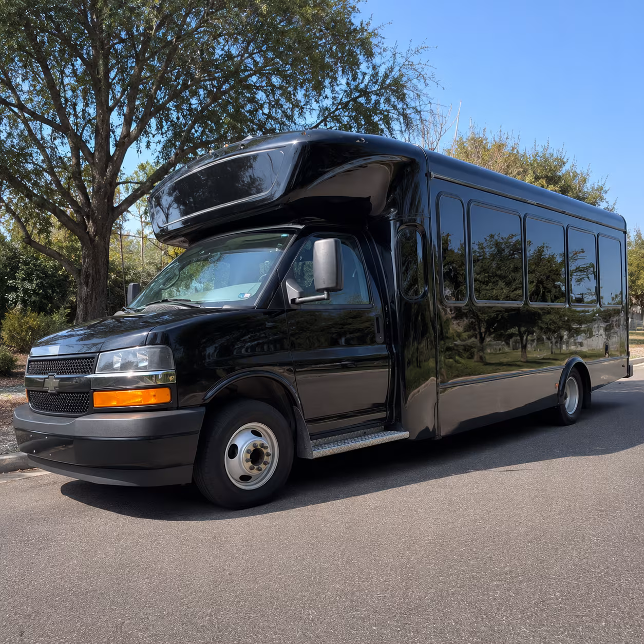 reading birthday party bus rental
